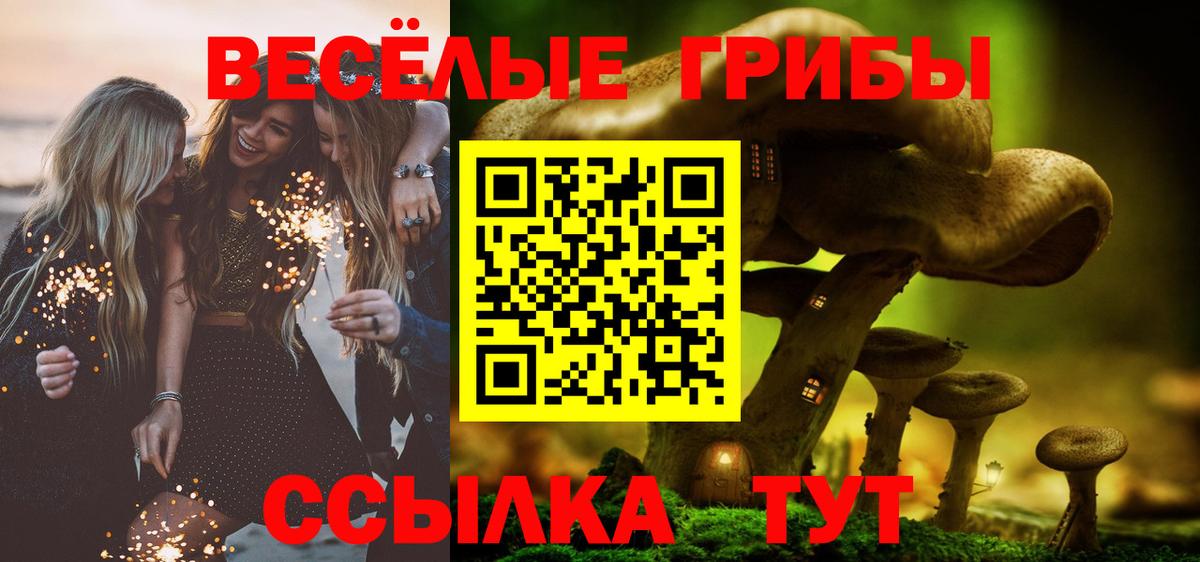 Галлюциногенные грибы Psilocybe  Вход с VPN  Гусиноозёрск 