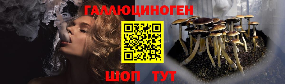 Галлюциногенные грибы Cubensis Гусиноозёрск